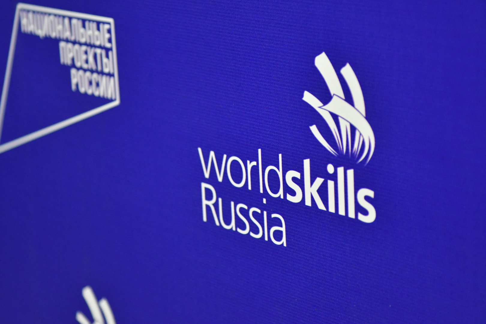 Отборочные соревнования на IX Национальный чемпионат «Молодые профессионалы (WorldSkills Russia)»