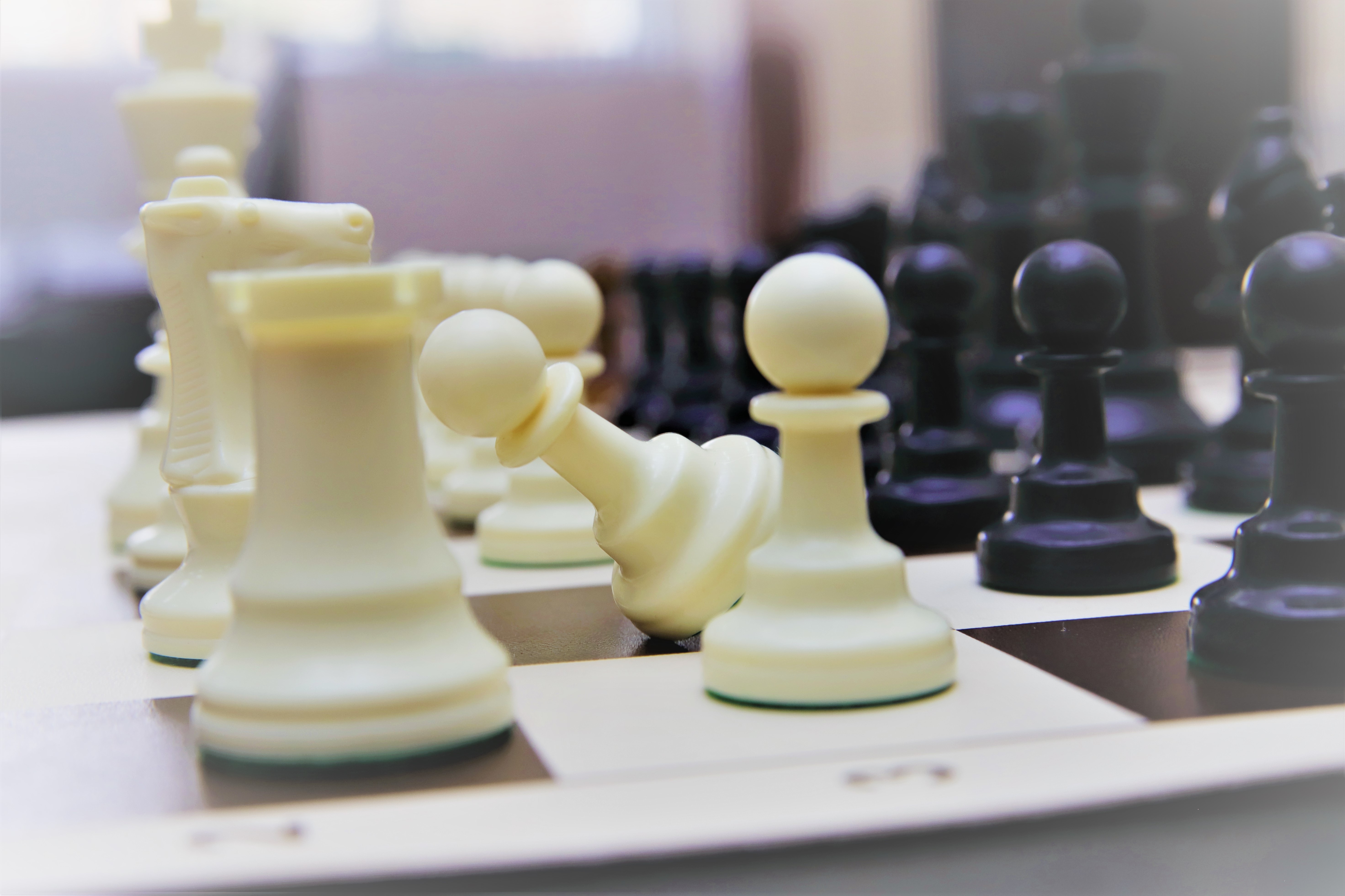 В КуZбассе пройдет региональный этап Всероссийских соревнований по шахматам «Белая ладья»